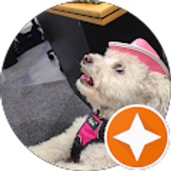 Profile photo of Mike Miller