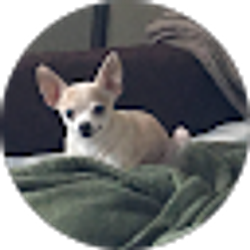 Profile photo of Sandy McDonald