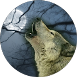 Profile photo of Taylor Brockway