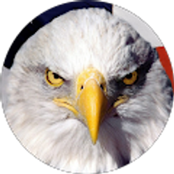 Profile photo of Adam Stein