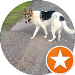 Profile photo of Aimee Bailey