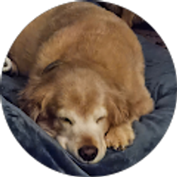 Profile photo of Pat Burns