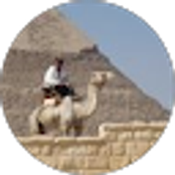 Profile photo of Julie Montgomery