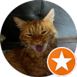 Profile photo of Karen Horta