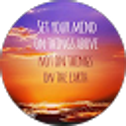 Profile photo of L Swartz