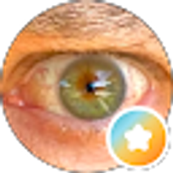Profile photo of Jim Kara