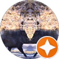 Profile photo of tr taylor