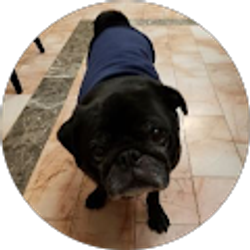 Profile photo of Yolanda Juarez-Morales