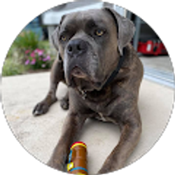 Profile photo of M A