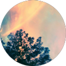 Profile photo of Brooks Robbins