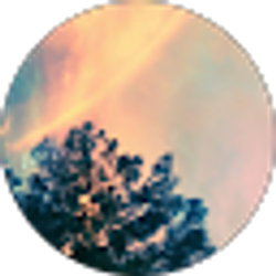 Profile photo of Brooks Robbins