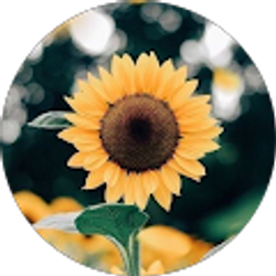 Profile photo of Grace Medlin