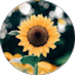 Profile photo of Grace Medlin