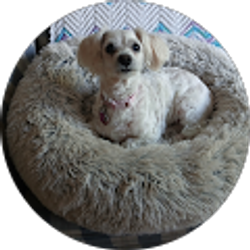 Profile photo of Lonnie