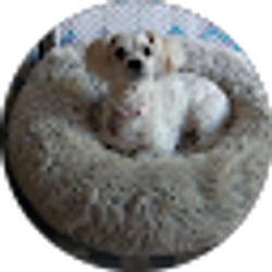 Profile photo of Lonnie
