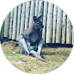 Profile photo of Spencer Raetz