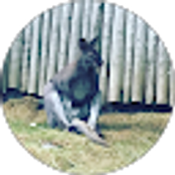 Profile photo of Spencer Raetz