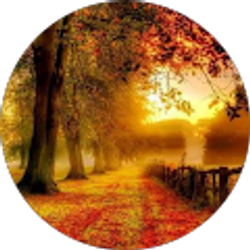 Profile photo of Valerie Stroud