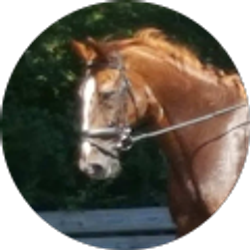 Profile photo of ellie EdwArds