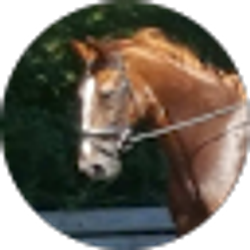 Profile photo of ellie EdwArds