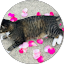 Profile photo of Kim Van de Wetering