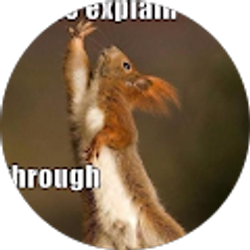 Profile photo of Rita Evans