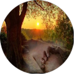 Profile photo of Bradford Comer