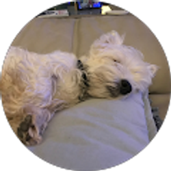 Profile photo of Steve