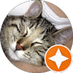 Profile photo of Martie Wagner