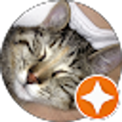 Profile photo of Martie Wagner