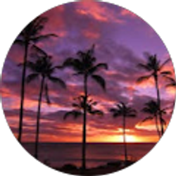 Profile photo of Priscilla Cristino