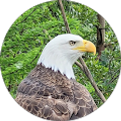 Profile photo of Jim Bel