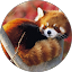 Profile photo of Lauren Spataro