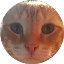 Profile photo of Alex Snelgrove