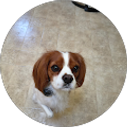 Profile photo of Nancy Brady