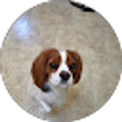 Profile photo of Nancy Brady