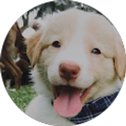 Profile photo of Louis Effron