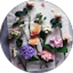 Profile photo of Ada Iris