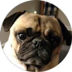 Profile photo of Ronaka Adams