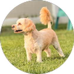 Profile photo of Ziggy G