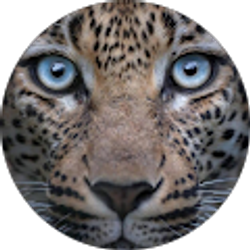 Profile photo of Judith Graeber