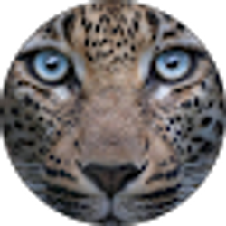 Profile photo of Judith Graeber