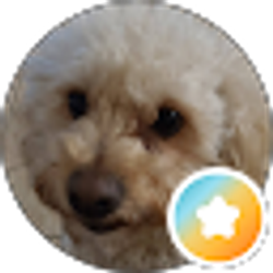 Profile photo of Letty G