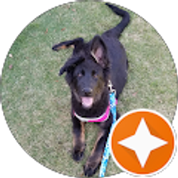 Profile photo of M. B.