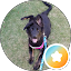 Profile photo of M. B.