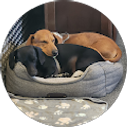 Profile photo of Francheska Janosik