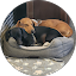 Profile photo of Francheska Janosik