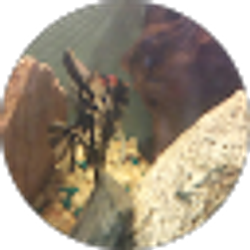 Profile photo of Chris Rey