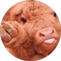 Profile photo of sophie