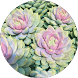 Profile photo of Brooke Bailey